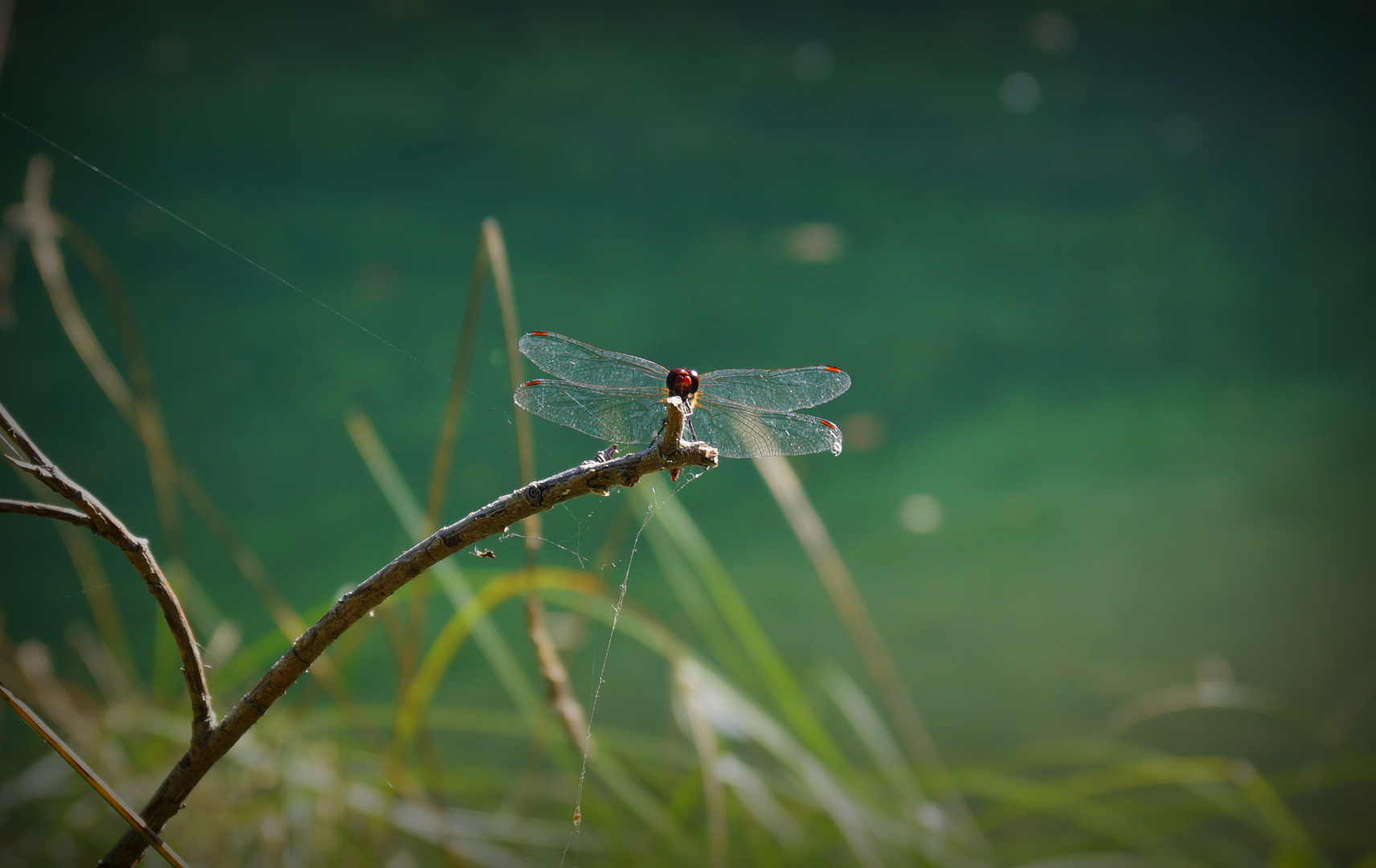 .ready for take-off