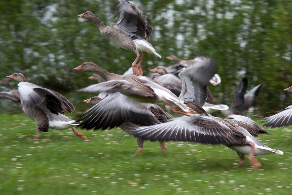 Ready for take off