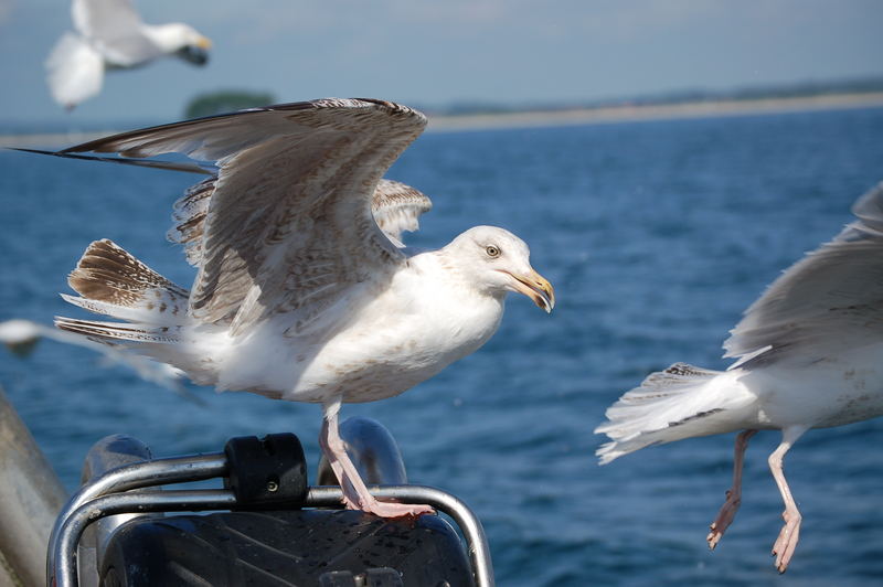 Ready for take off