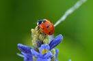 "Ready for take-off!" von Bernd Ullrich 