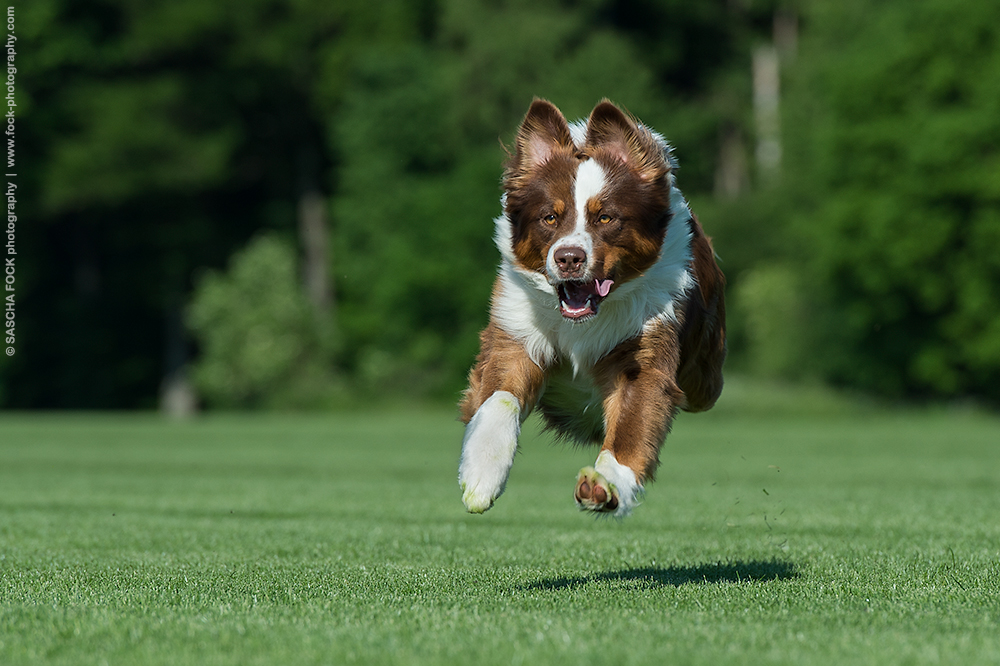 Ready for take-off