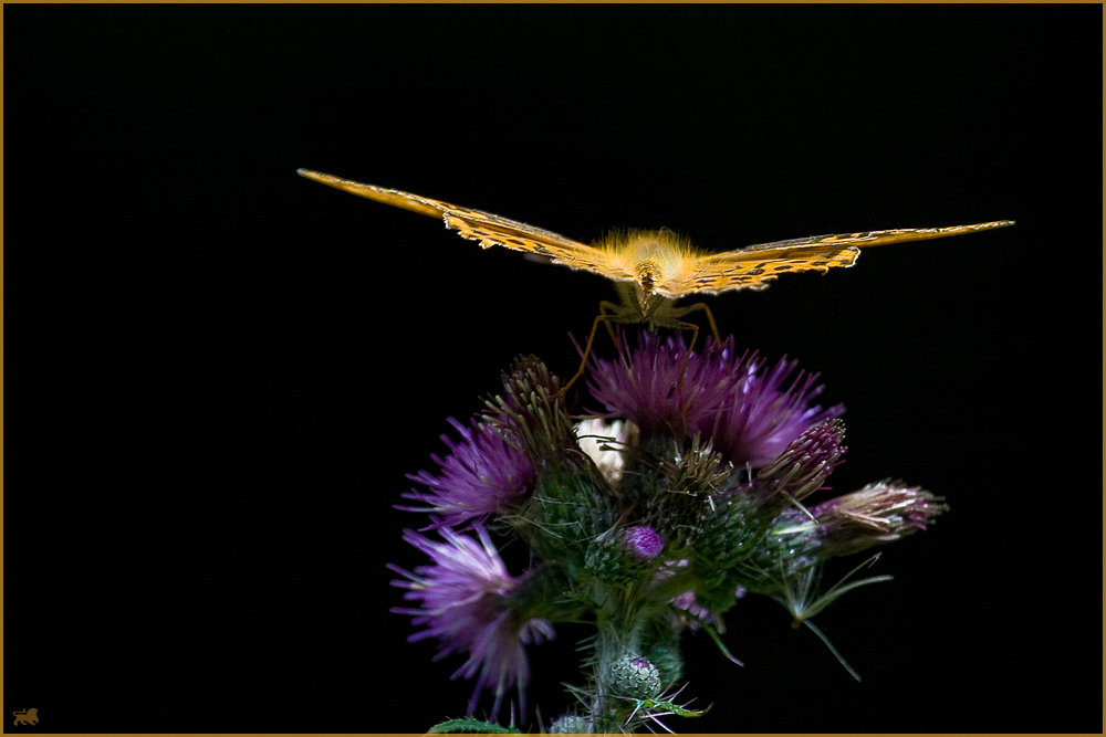 Ready for Take-Off