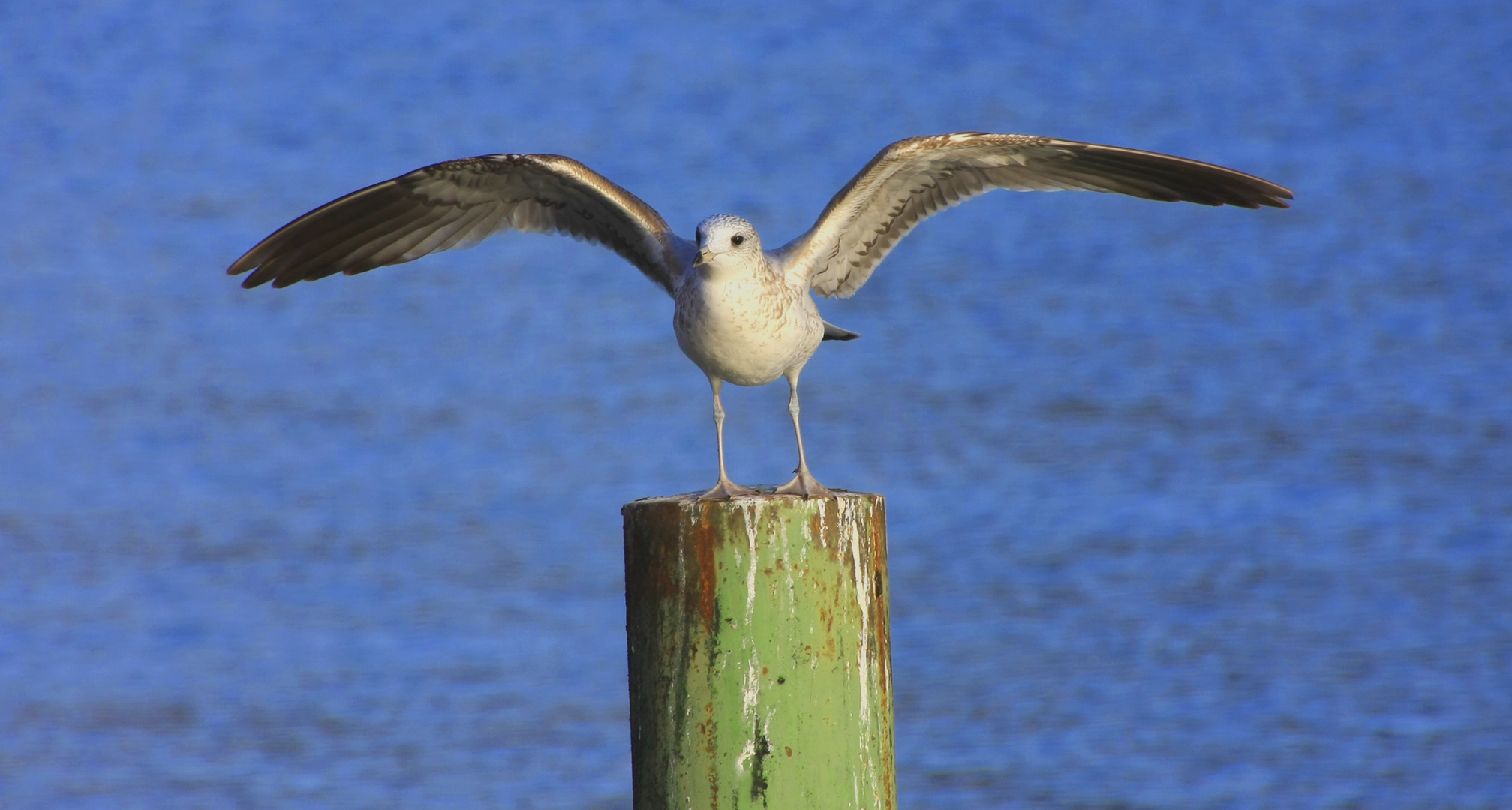 Ready For Take Off