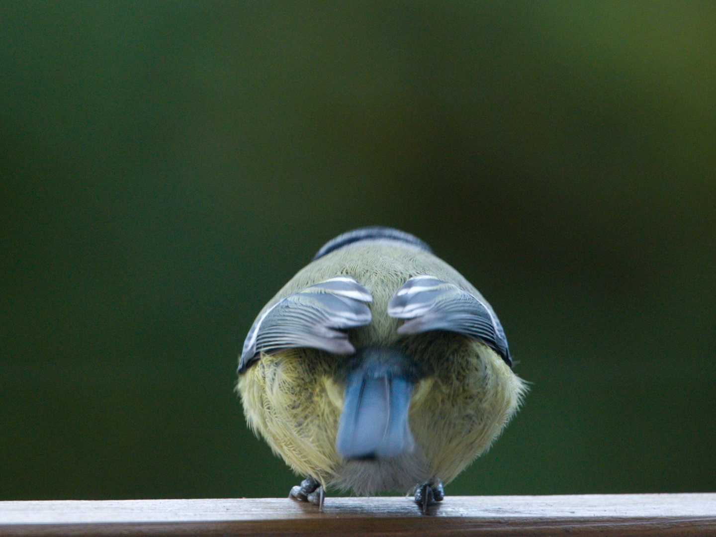 ready for take off