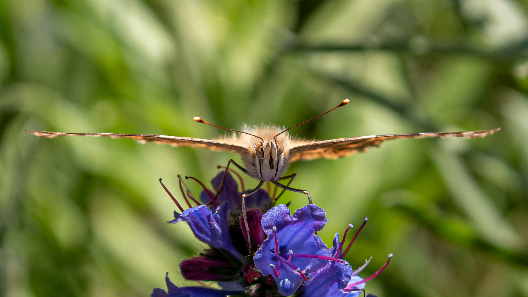 ready for take-off