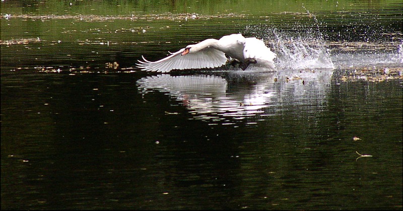 ready for take off...