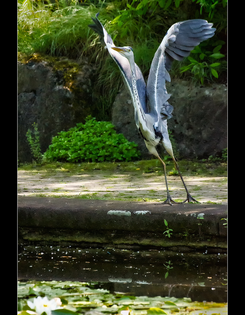 Ready for take off