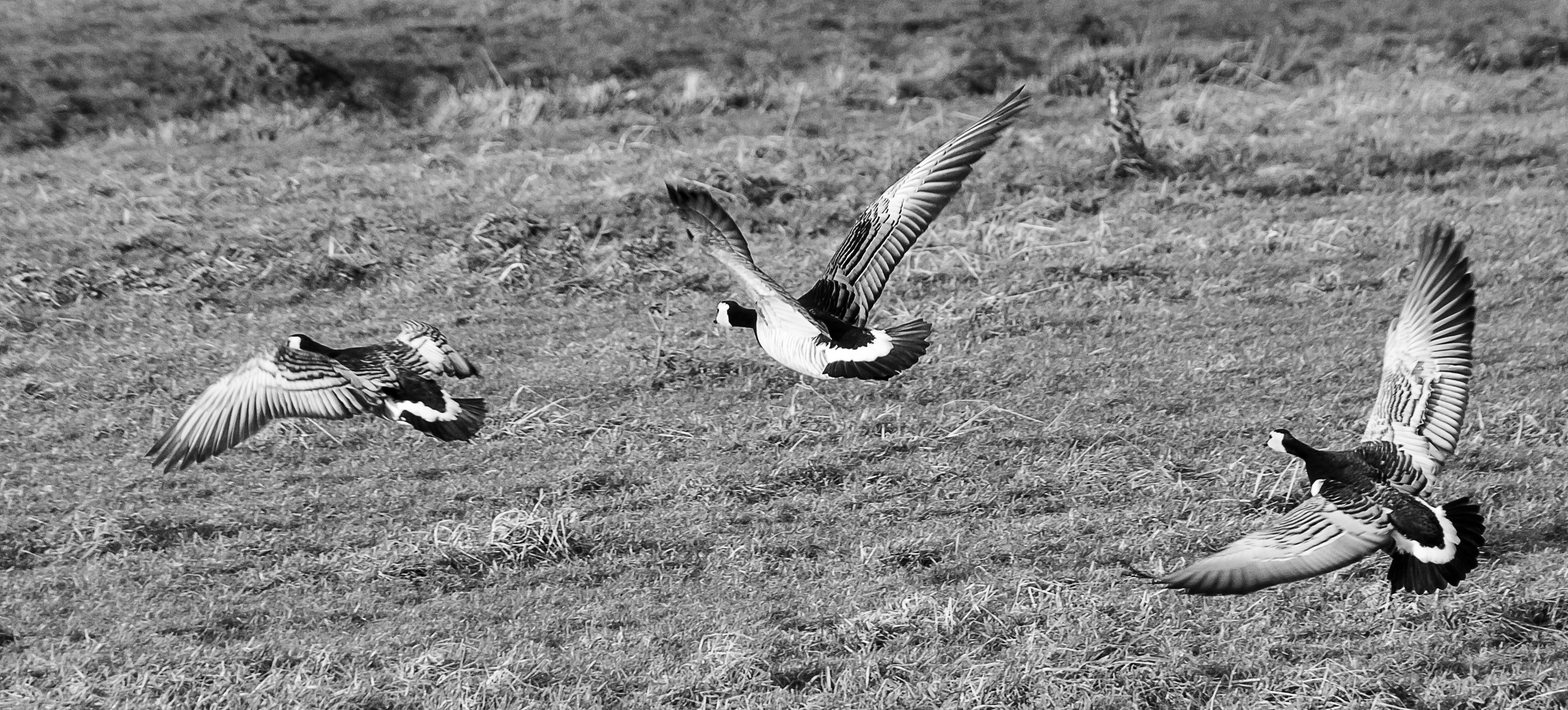 ready for take off... oder doch nicht?