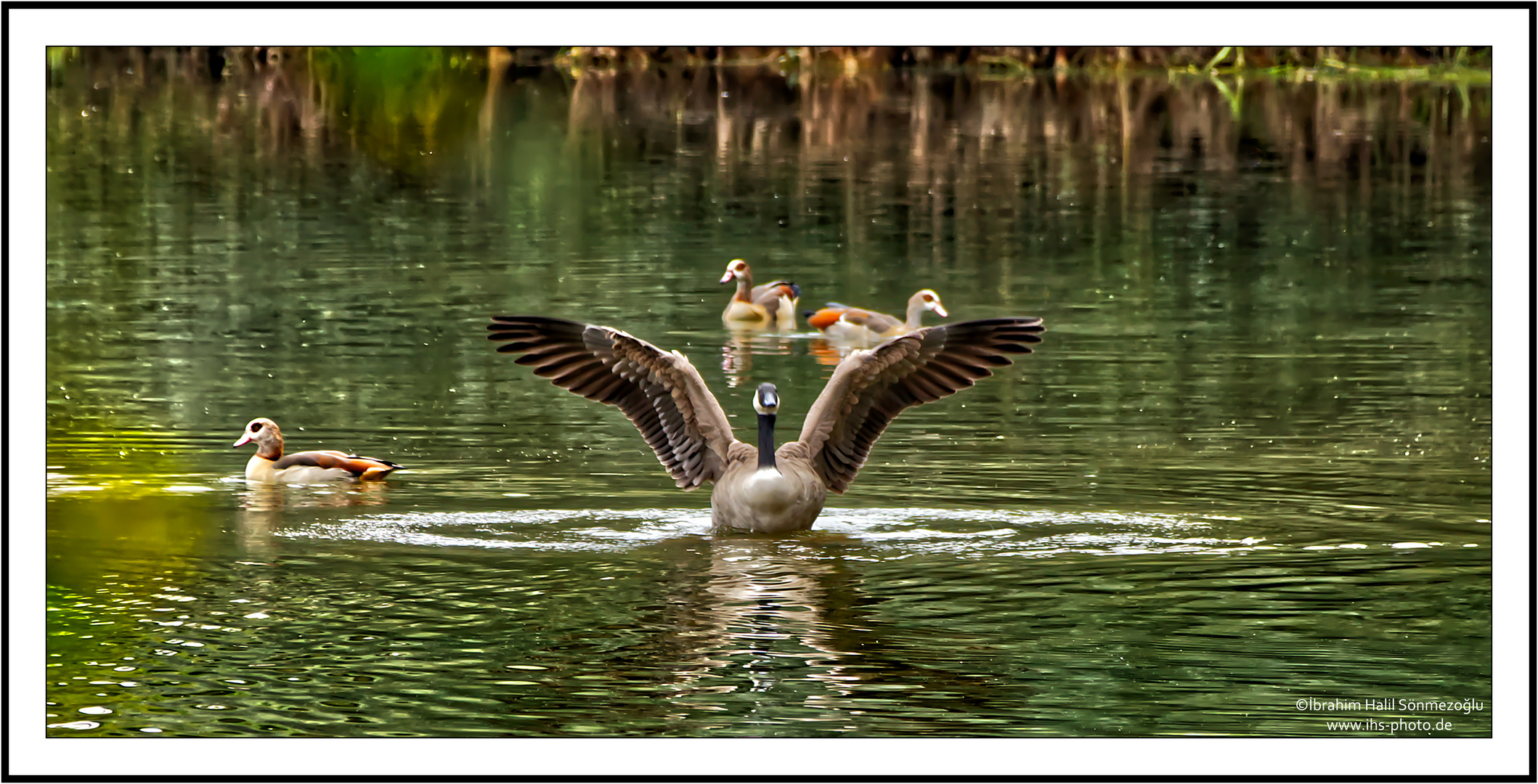 Ready for Takeoff