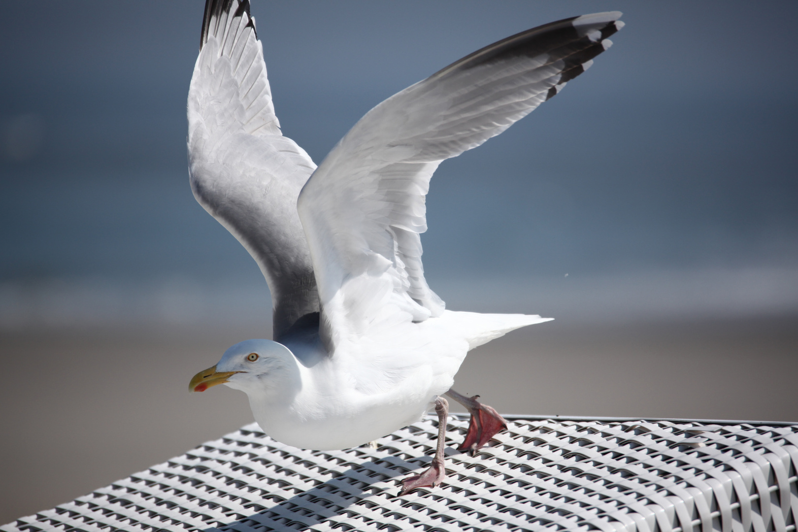 Ready for Takeoff