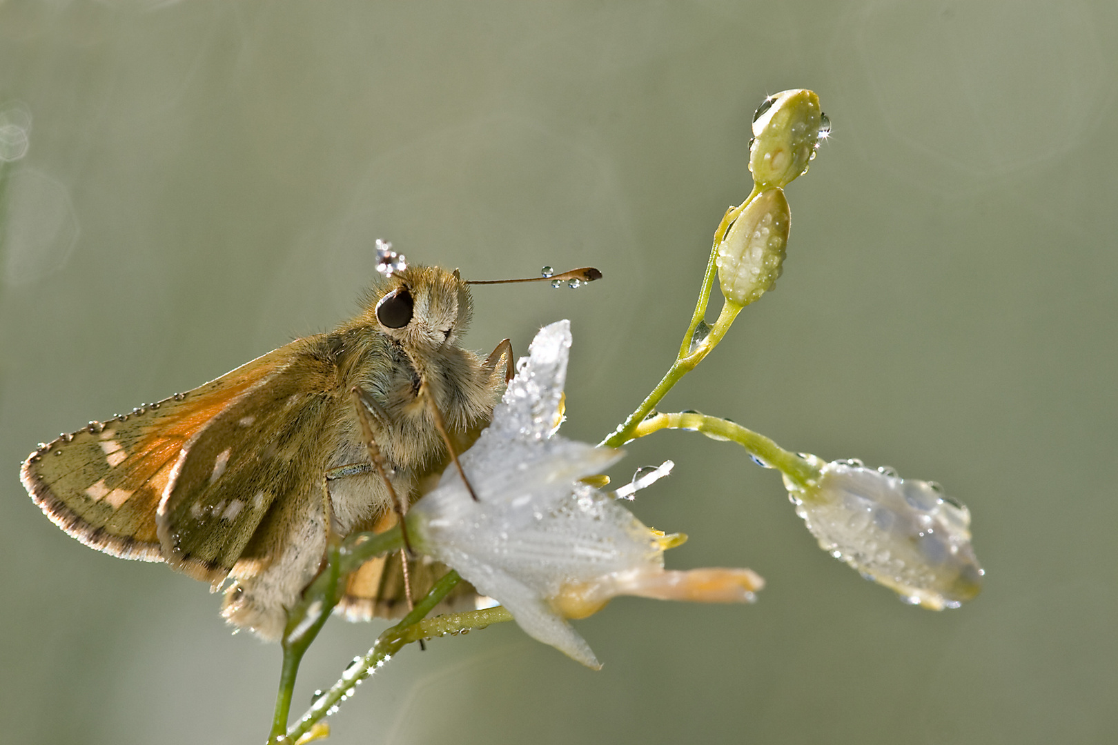 ...ready for takeoff...