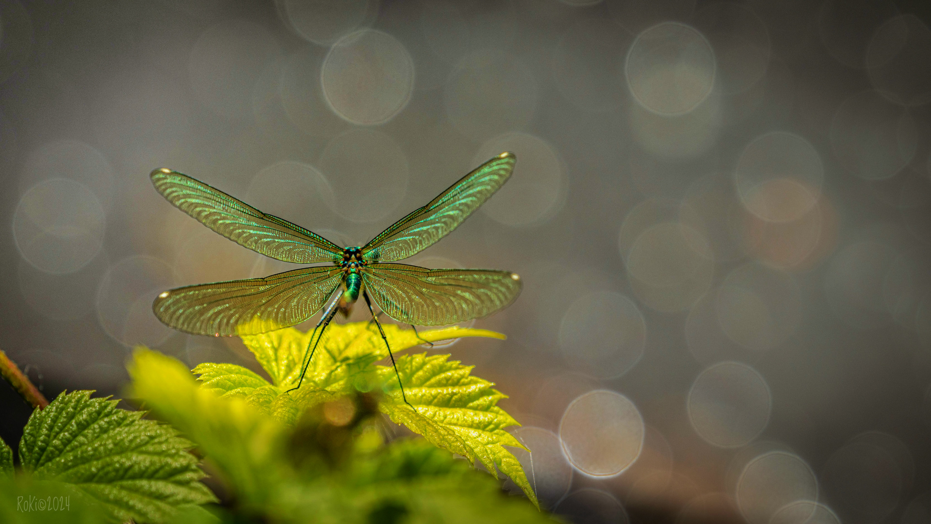 Ready for takeoff…