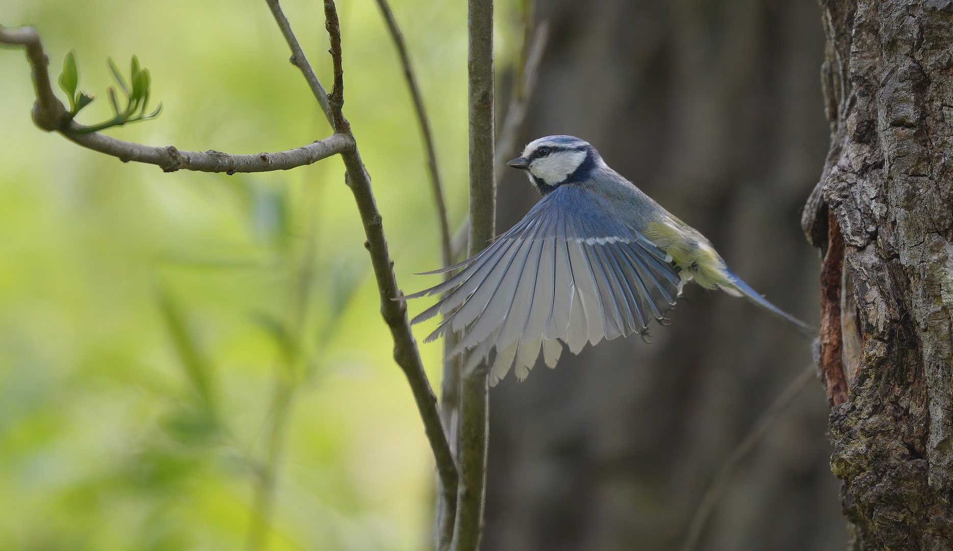 Ready for Takeoff