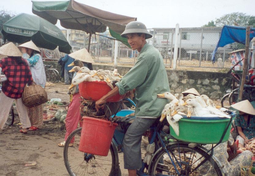 Ready for the Market in Hue