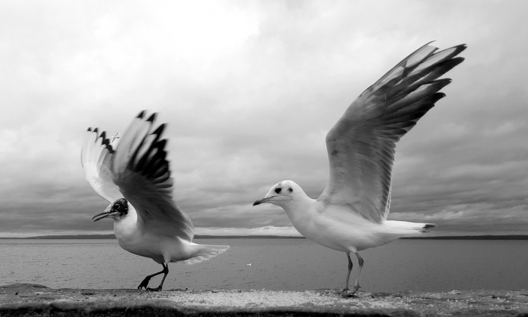 Ready to Take off