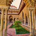 Real Alcázar Sevilla - Patio de las Doncellas (3) 