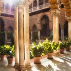 Real Alcázar Sevilla - Patio de las Doncellas (5) 