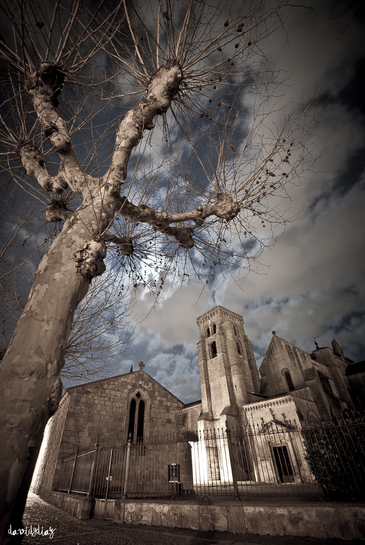 REAL MONASTERIO DE LAS HUELGAS (BURGOS)