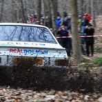 REAL RALLYE ACTION