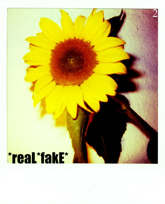 reaL*fake*