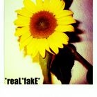 reaL*fake*