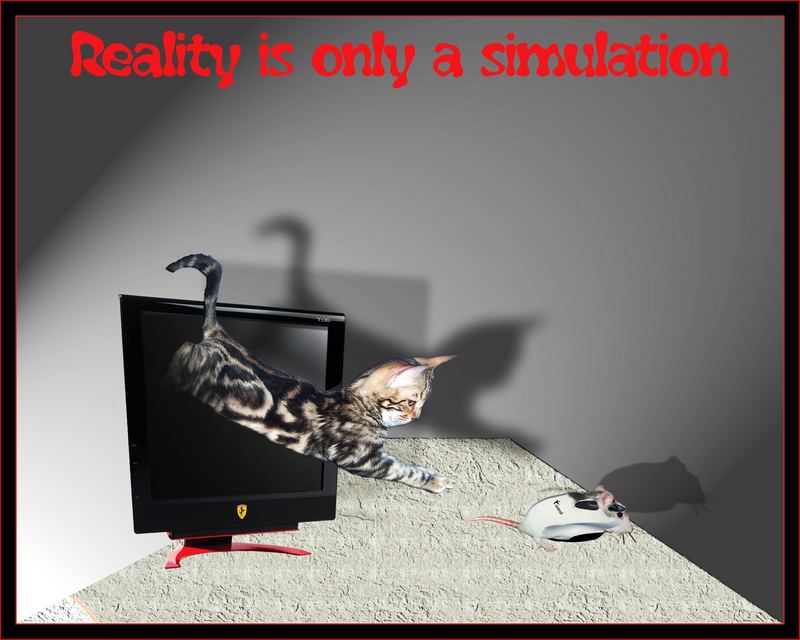 Reality is only...