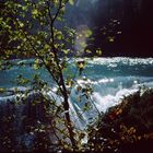 Rearguardfalls, das Mekka der Lachswanderung, Canada 2006, Scan vom Dia