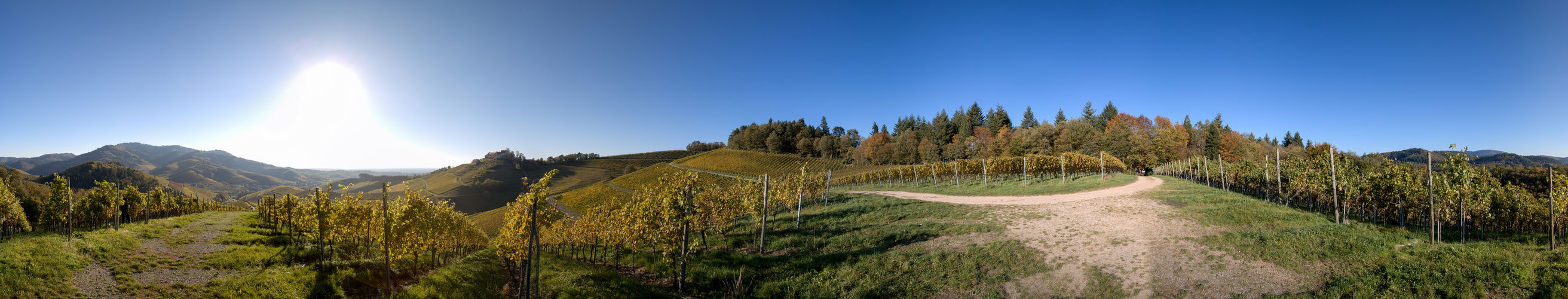 Rebberge bei Durbach