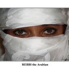 REBBI THE ARABIAN