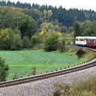 Rebenbummler auf der Krebsbachtalbahn bei Neckarbischofsheim Nord 17.10.2020