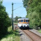 Rebenbummler auf der Schwarzbachtalbahn bei Neckarbischofsheim Nord 31.5.2020