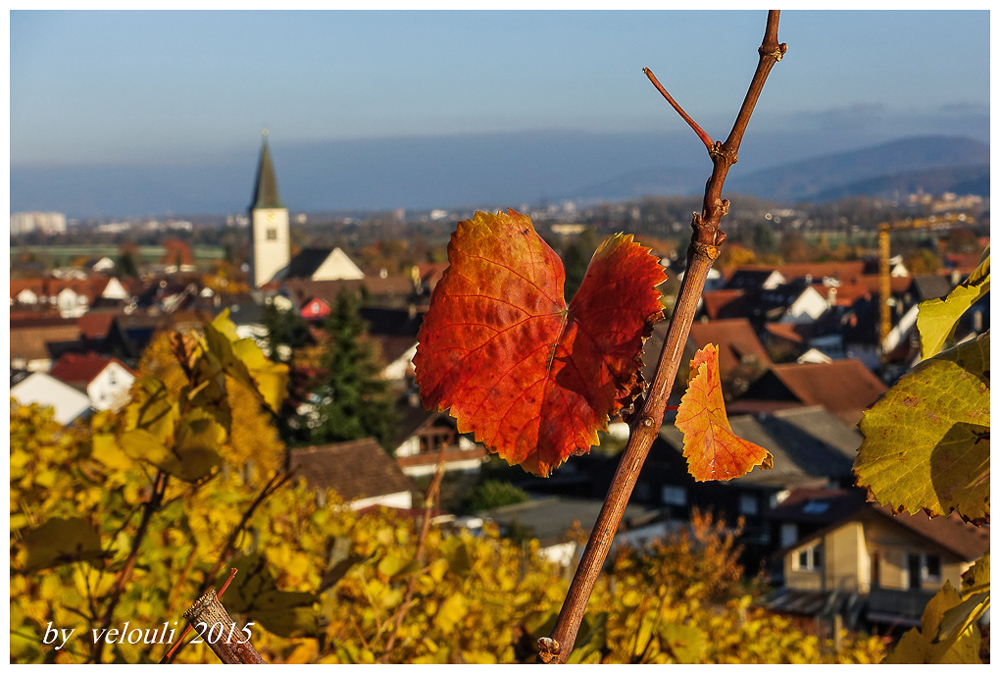 Rebenherbst