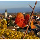 Rebenherbst