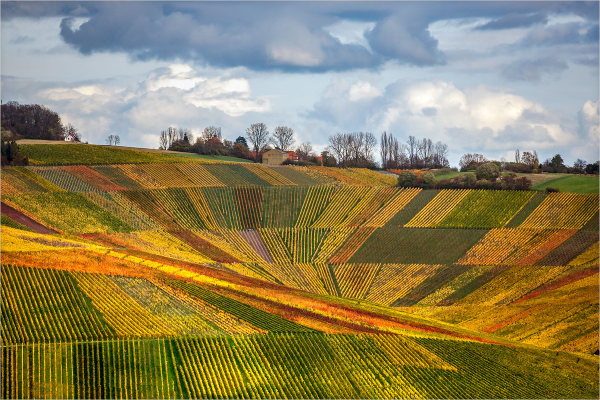 Rebenteppich