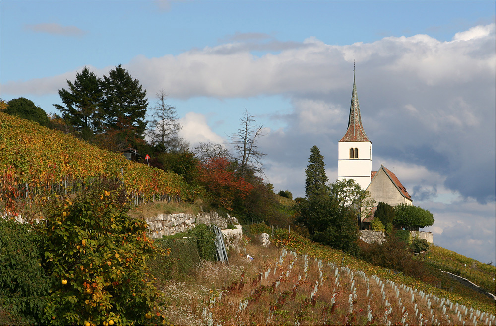 Rebenweg III