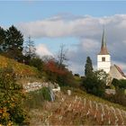 Rebenweg III