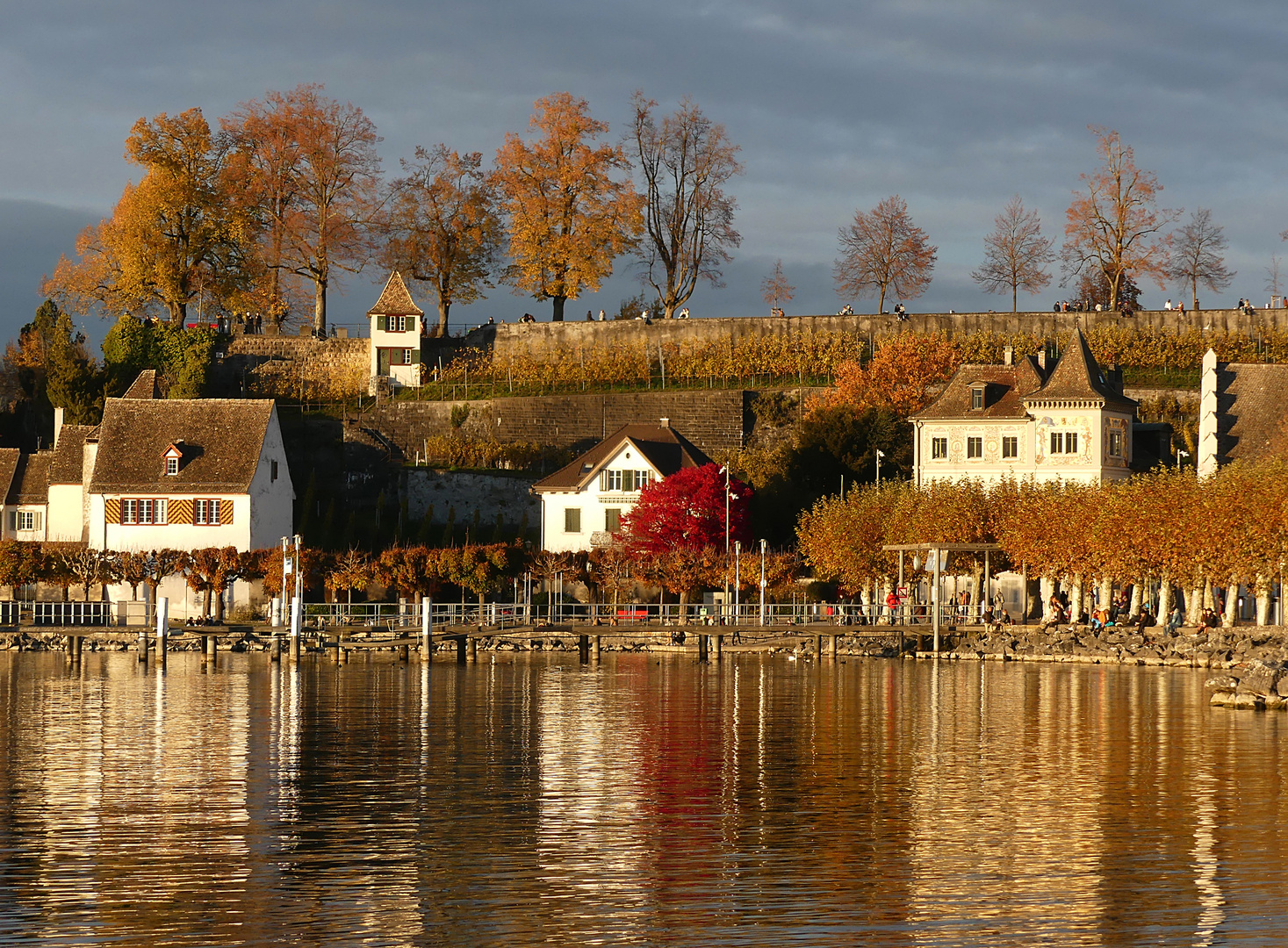 Rebhäuschen