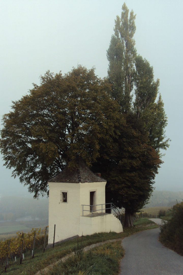 Rebhäuschen bei Müllheim