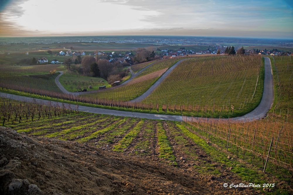 Reblandschaft Betschgraben Bühl-Eisental