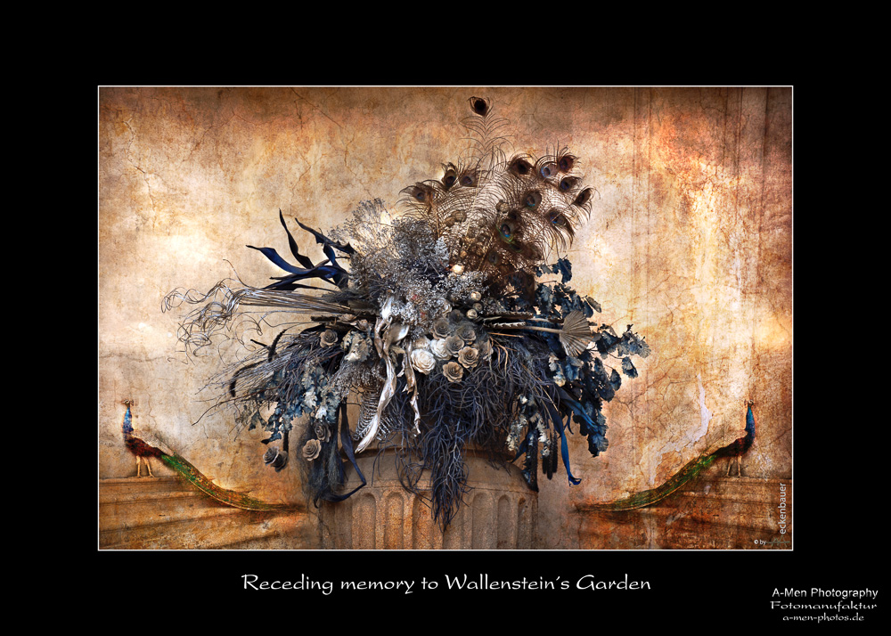 Receding Memory to Wallenstein´s Garden