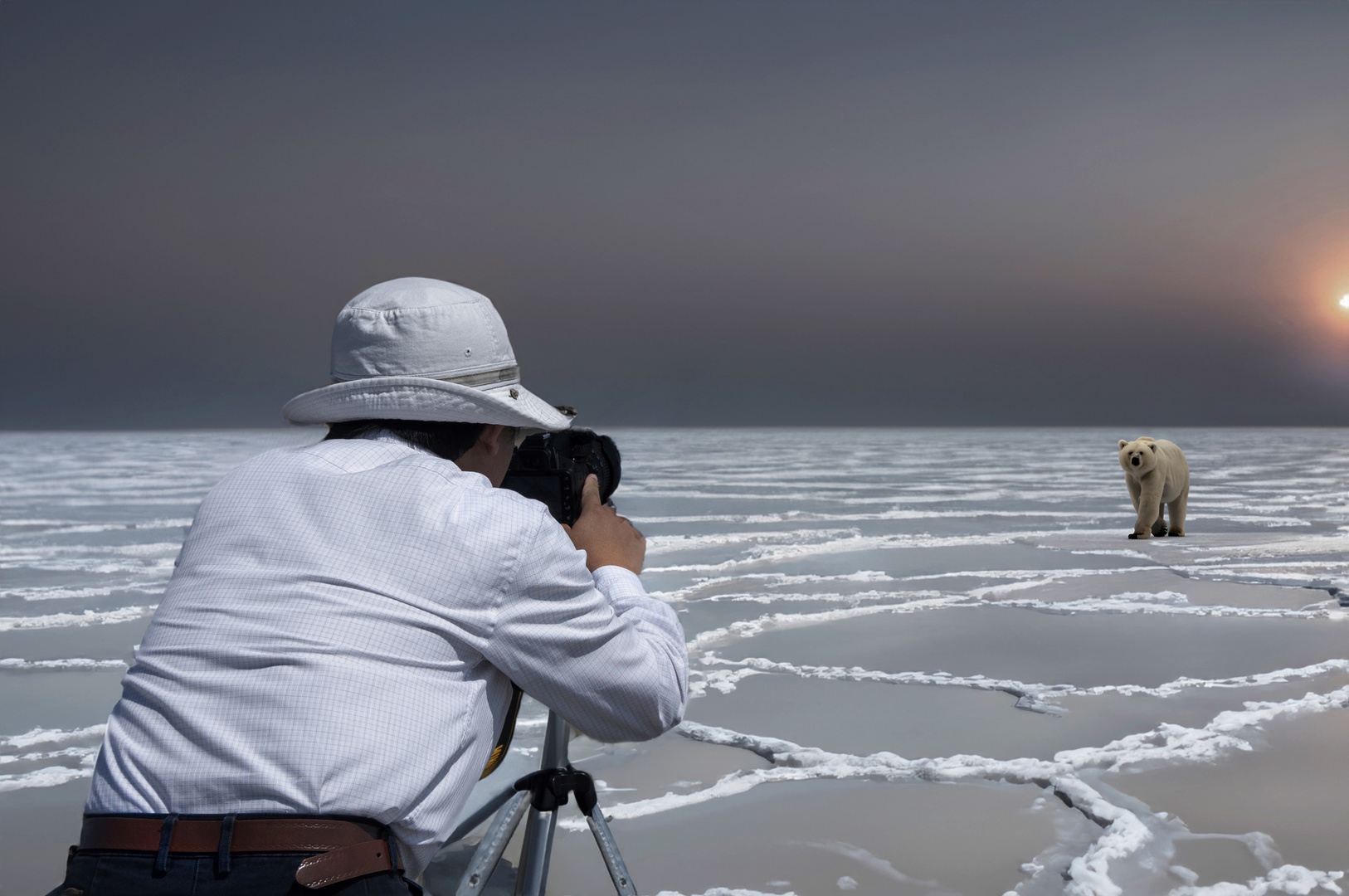 Réchauffement climatique