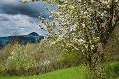 Rechberg/Hohenstaufen