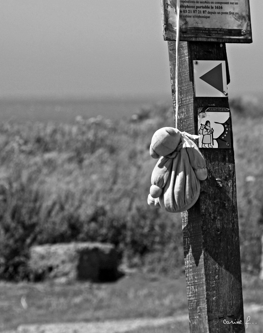 recherche doudou désespérement...