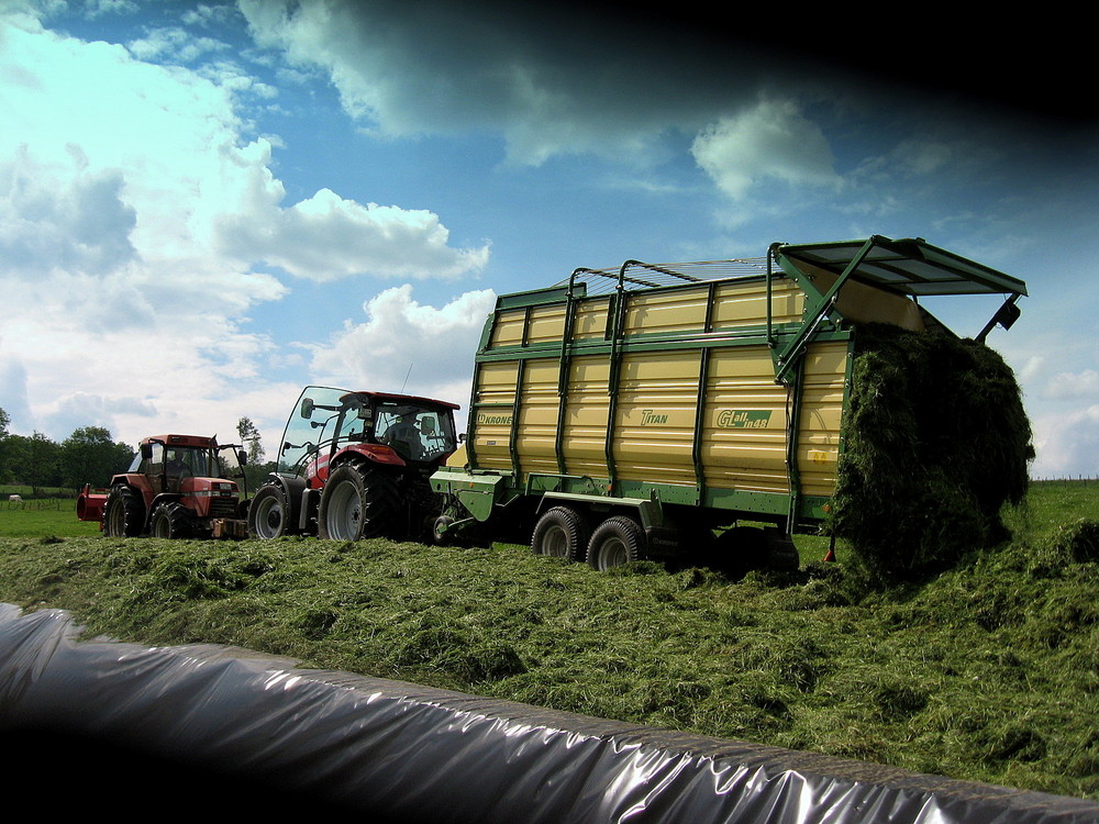 recht hohes Silo beim LW Stricker aus Wenden