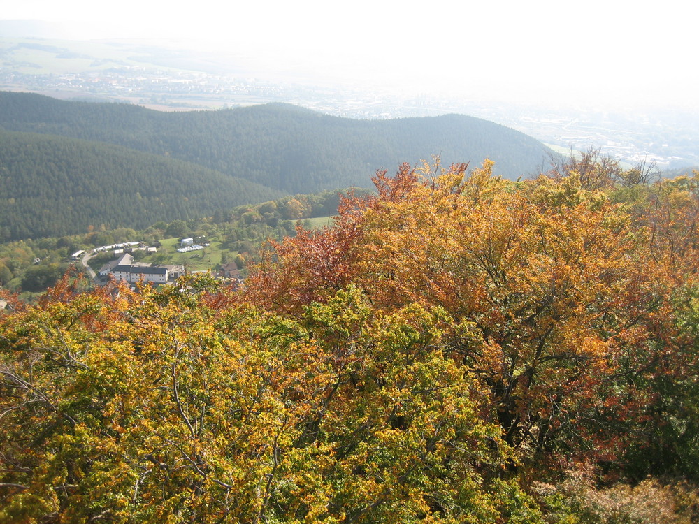 rechte Seite des Thüringer Herbstwaldes