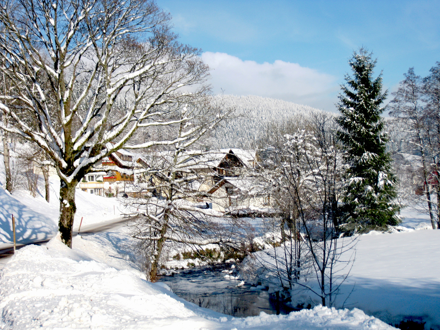 Rechtmurg im Winter