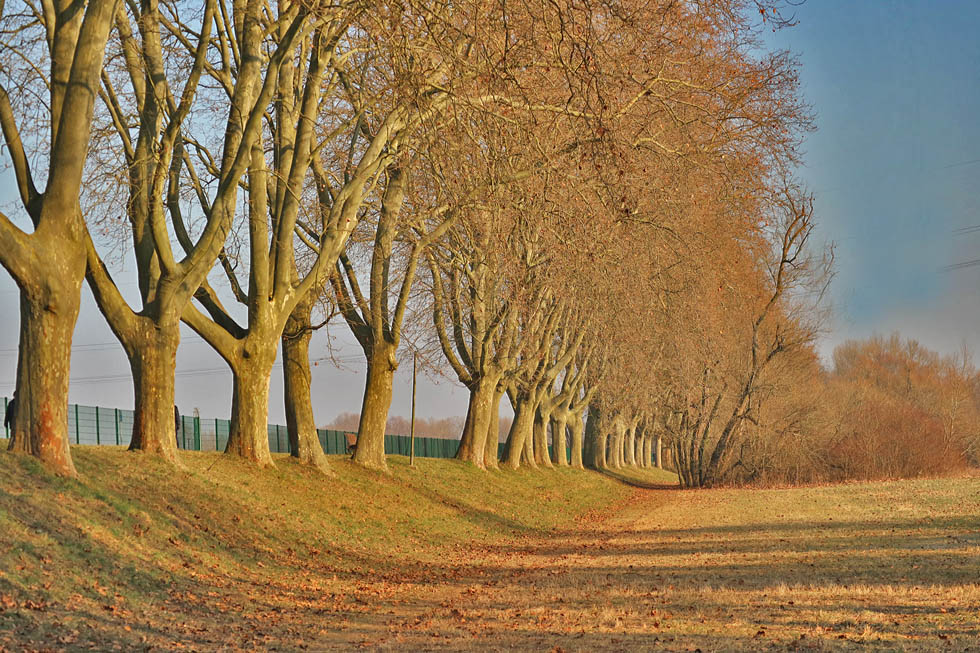 rechts davon ist der Rhein