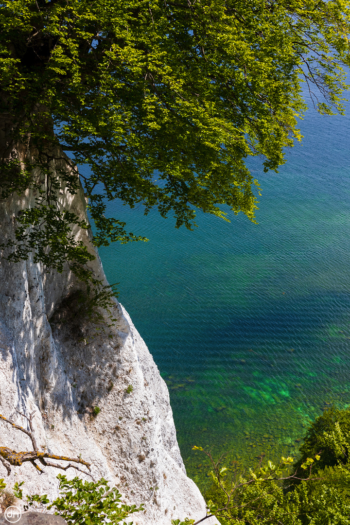 rechts hinab vom Kaiserstuhl