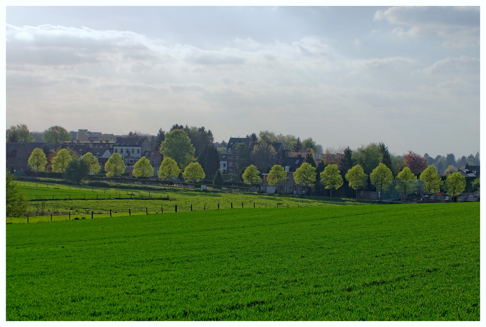 rechts 'n Baum, links 'n Baum ...