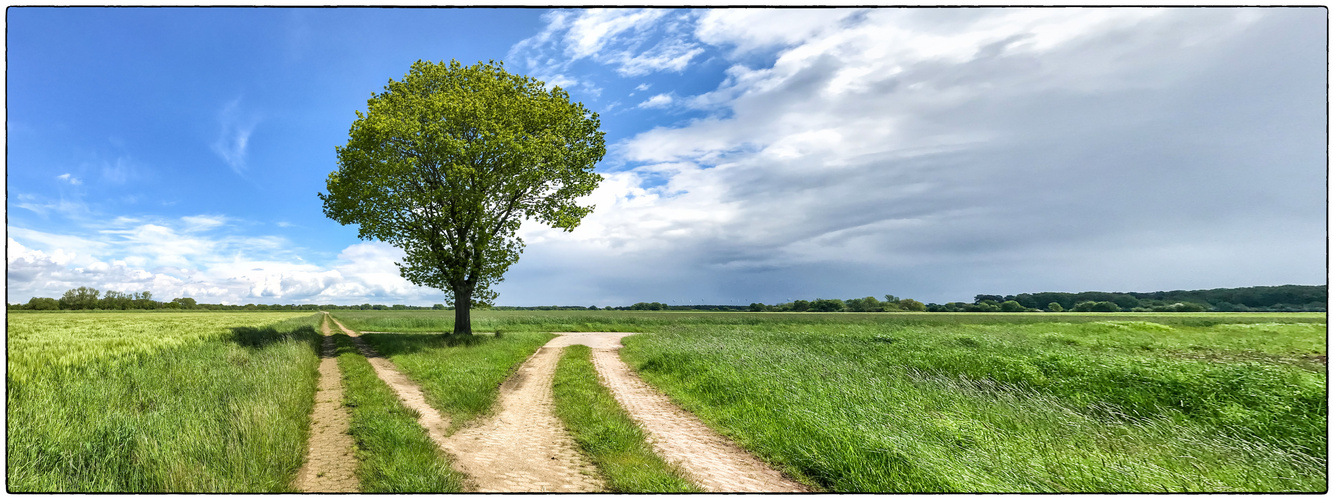 Rechts oder links...?